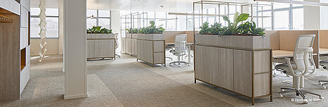 The photo shows a modern, bright open-plan office with plenty of natural light, wood finishes, and large plant displays used as room dividers. White AT swivel chairs can be seen at the workstations.