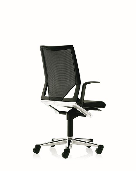 Modus chair, cut-out, rear view, mesh backrest