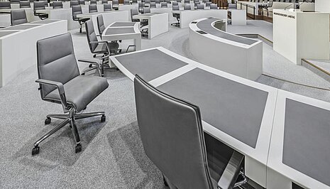 Sola chair in parliamentary chamber, seating arrangement scene