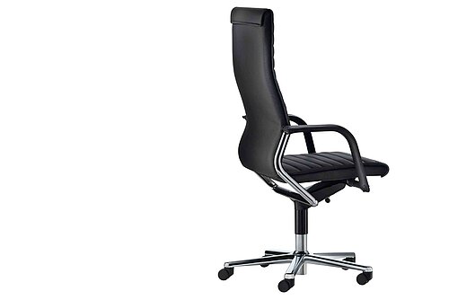 FS linie chair, cut-out, side view, black leather