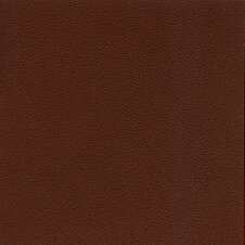 Material Sample: 87 Leather